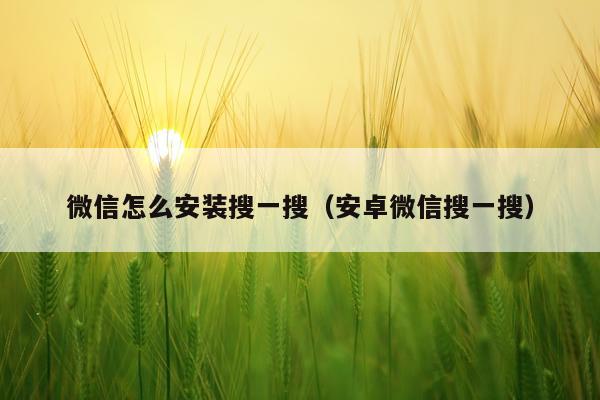 微信怎么安装搜一搜(安卓微信搜一搜)
