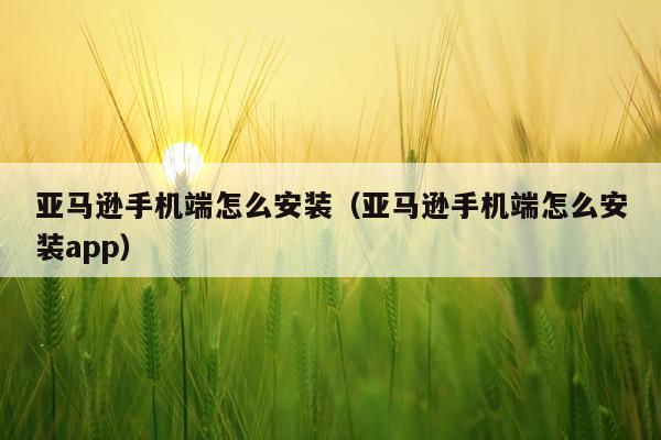 亚马逊手机端怎么安装(亚马逊手机端怎么安装app)