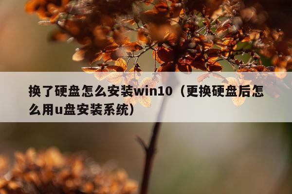 换了硬盘怎么安装win10(更换硬盘后怎么用u盘安装系统)