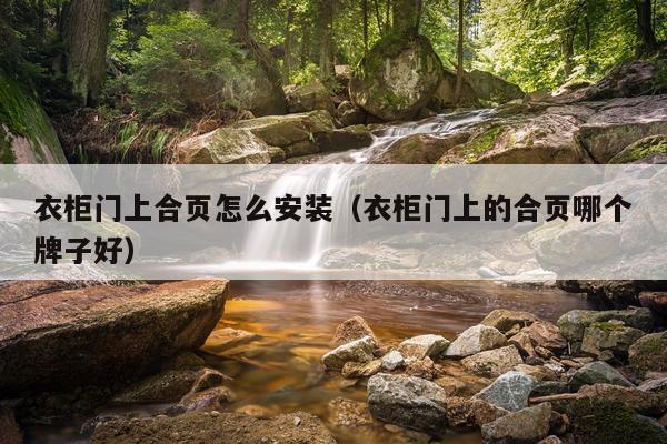 衣柜门上合页怎么安装(衣柜门上的合页哪个牌子好)