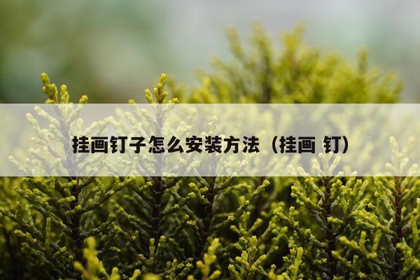 挂画钉子怎么安装方法（挂画 钉）