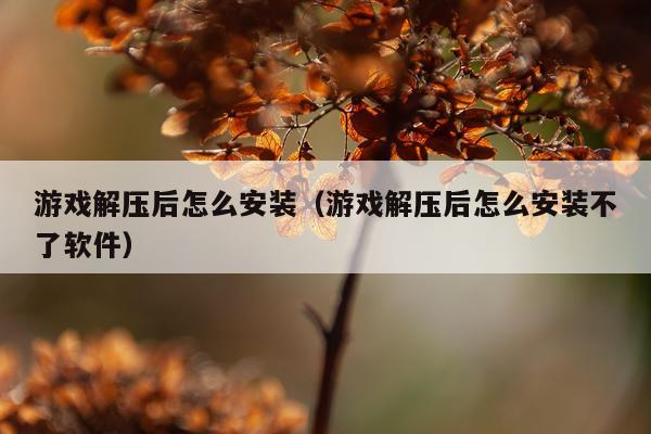 游戏解压后怎么安装(游戏解压后怎么安装不了软件)
