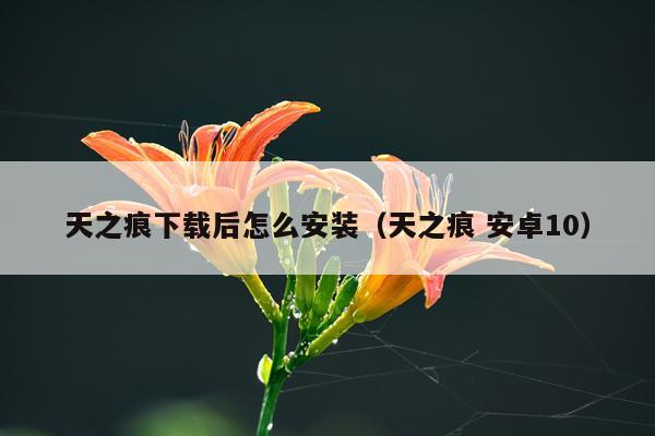 天之痕下载后怎么安装(天之痕 安卓10)