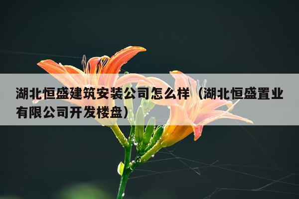 湖北恒盛建筑安装公司怎么样(湖北恒盛置业有限公司开发楼盘)