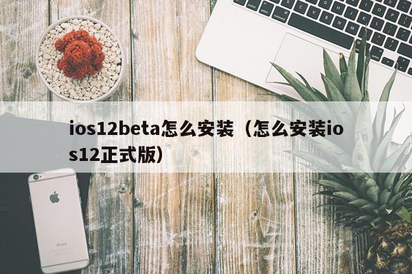 ios12beta怎么安装(怎么安装ios12正式版)