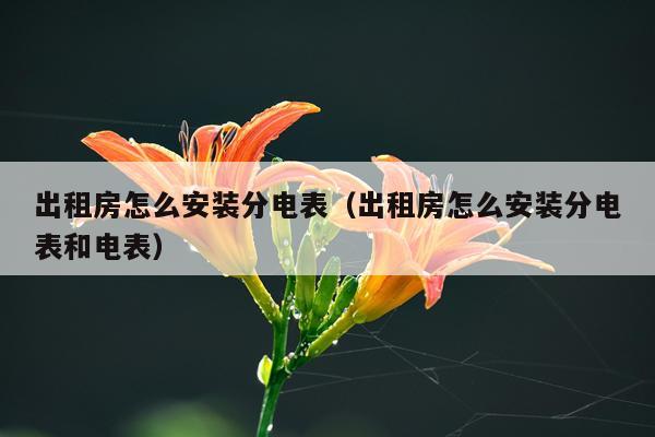 出租房怎么安装分电表(出租房怎么安装分电表和电表)