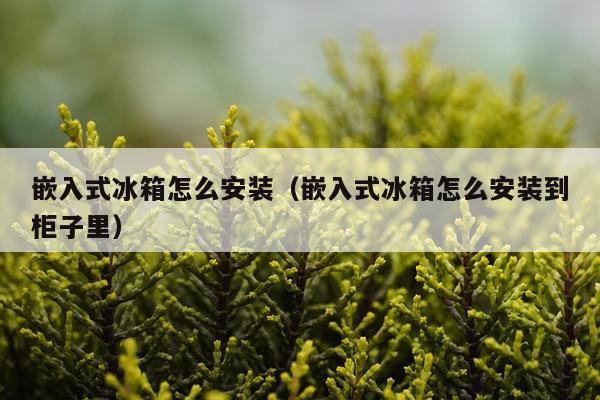 嵌入式冰箱怎么安装(嵌入式冰箱怎么安装到柜子里)