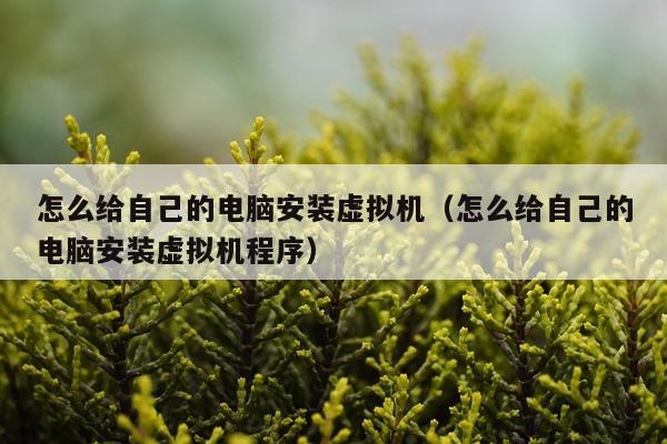 怎么给自己的电脑安装虚拟机(怎么给自己的电脑安装虚拟机程序)
