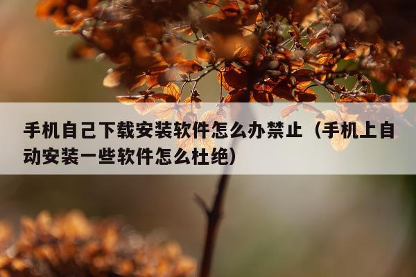 手机自己下载安装软件怎么办禁止(手机上自动安装一些软件怎么杜绝)