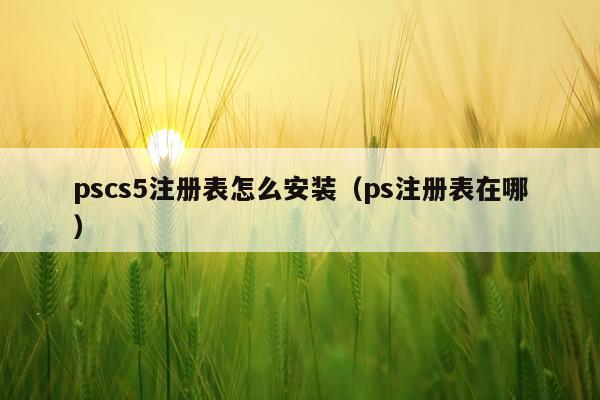 pscs5注册表怎么安装（ps注册表在哪）