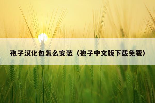 孢子汉化包怎么安装（孢子中文版下载免费）