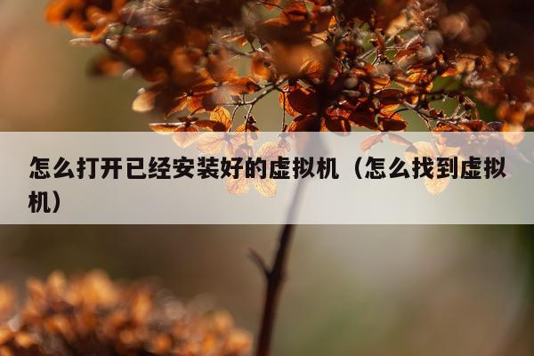怎么打开已经安装好的虚拟机（怎么找到虚拟机）