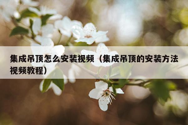 集成吊顶怎么安装视频（集成吊顶的安装方法视频教程）