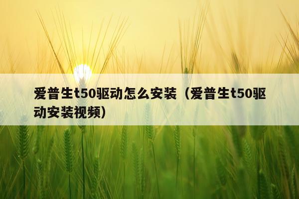 爱普生t50驱动怎么安装(爱普生t50驱动安装视频)