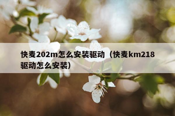 快麦202m怎么安装驱动(快麦km218驱动怎么安装)