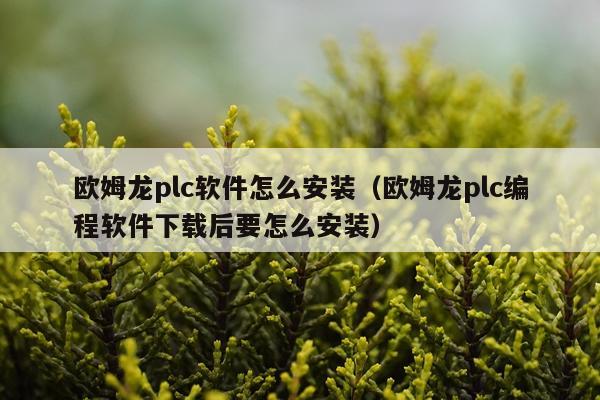 欧姆龙plc软件怎么安装(欧姆龙plc编程软件下载后要怎么安装)