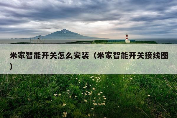 米家智能开关怎么安装(米家智能开关接线图)