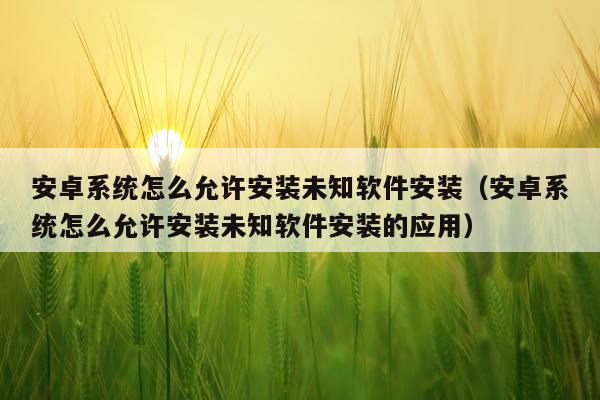 安卓系统怎么允许安装未知软件安装(安卓系统怎么允许安装未知软件安装的应用)