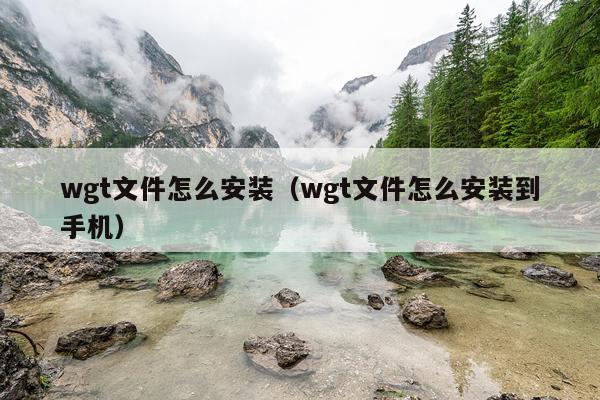 wgt文件怎么安装(wgt文件怎么安装到手机)