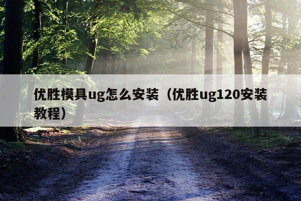 优胜模具ug怎么安装(优胜ug120安装教程)