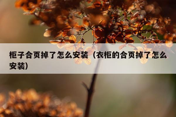 柜子合页掉了怎么安装(衣柜的合页掉了怎么安装)