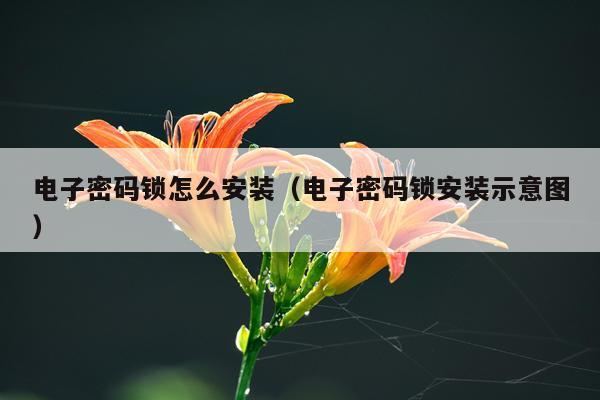 电子密码锁怎么安装(电子密码锁安装示意图)