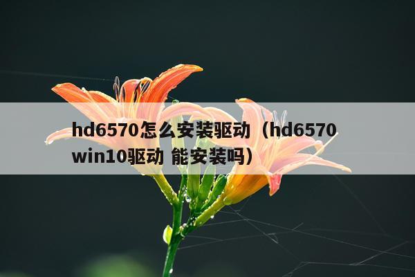 hd6570怎么安装驱动(hd6570 win10驱动 能安装吗)