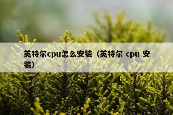英特尔cpu怎么安装(英特尔 cpu 安装)