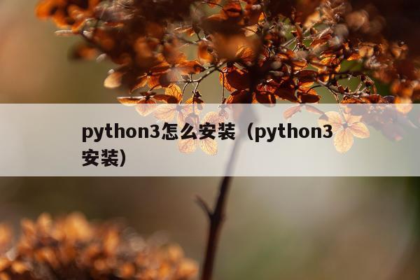 python3怎么安装(python3 安装)