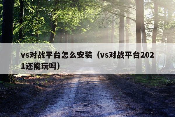 vs对战平台怎么安装(vs对战平台2021还能玩吗)