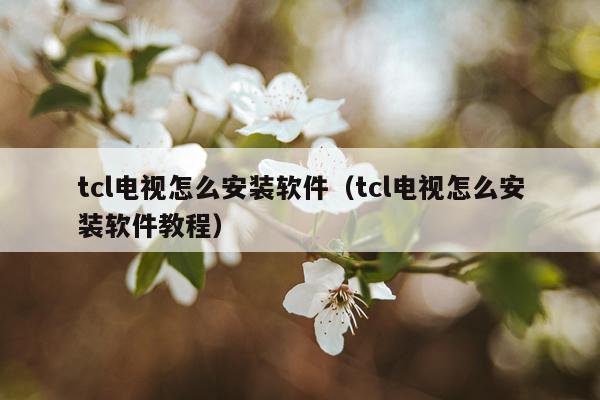 tcl电视怎么安装软件(tcl电视怎么安装软件教程)