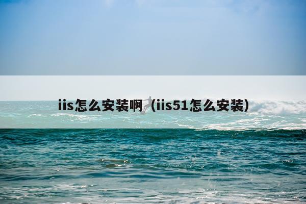 iis怎么安装啊(iis51怎么安装)