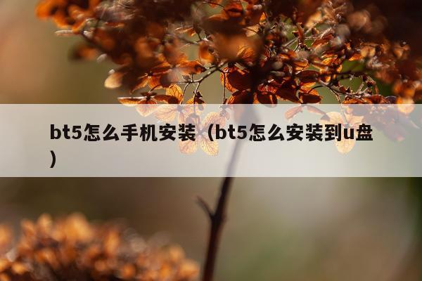 bt5怎么手机安装(bt5怎么安装到u盘)