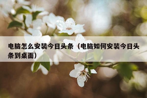 电脑怎么安装今日头条(电脑如何安装今日头条到桌面)