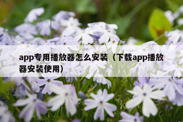 app专用播放器怎么安装(下载app播放器安装使用)