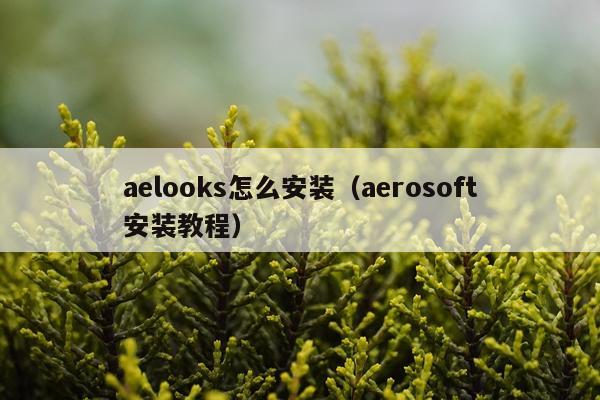aelooks怎么安装(aerosoft安装教程)