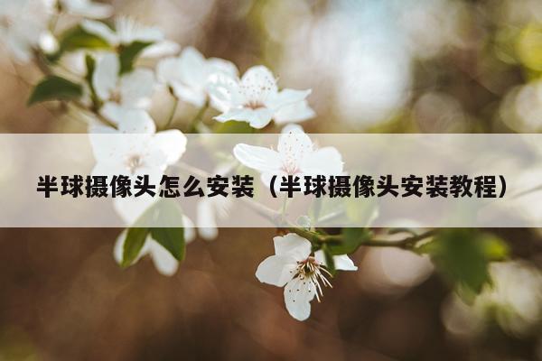 半球摄像头怎么安装(半球摄像头安装教程)