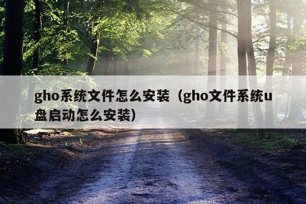 gho系统文件怎么安装(gho文件系统u盘启动怎么安装)