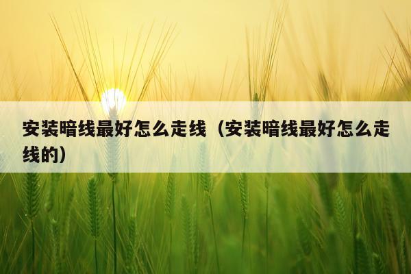 安装暗线最好怎么走线(安装暗线最好怎么走线的)