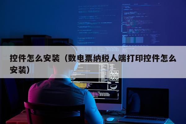控件怎么安装(数电票纳税人端打印控件怎么安装)
