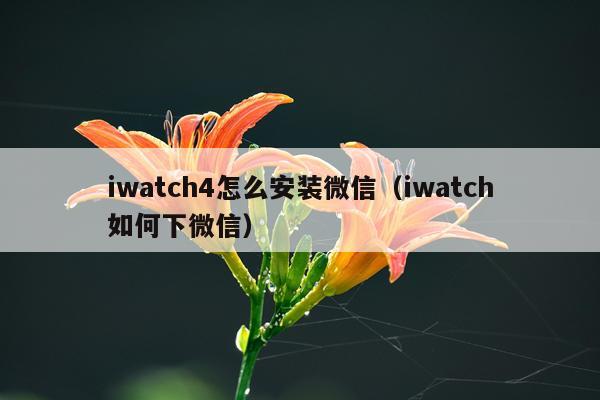 iwatch4怎么安装微信(iwatch如何下微信)