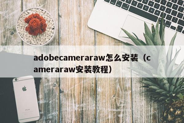 adobecameraraw怎么安装(cameraraw安装教程)