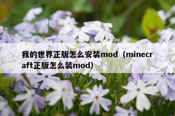 我的世界正版怎么安装mod(minecraft正版怎么装mod)