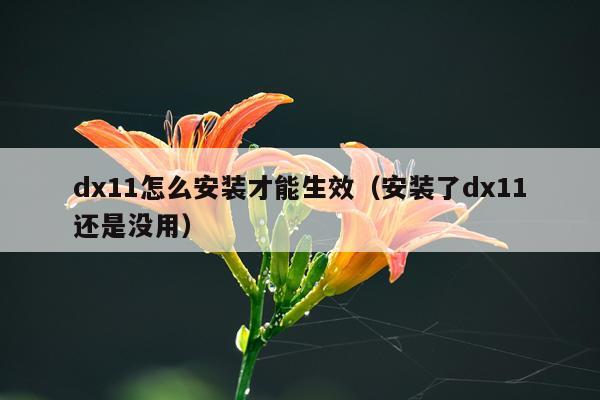 dx11怎么安装才能生效（安装了dx11还是没用）
