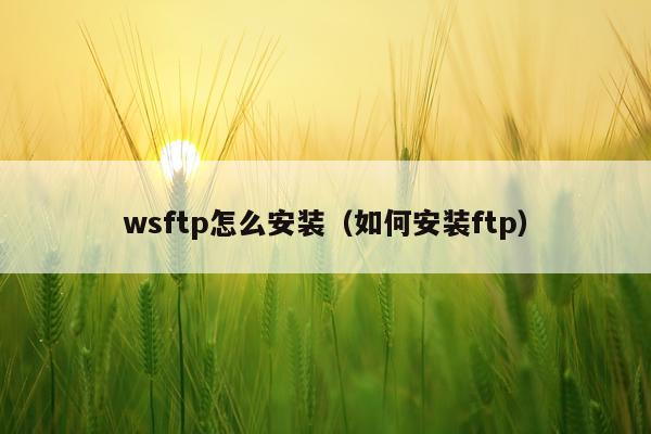 wsftp怎么安装（如何安装ftp）