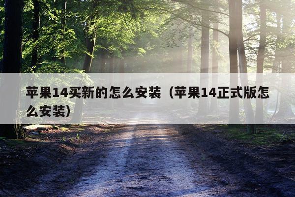 苹果14买新的怎么安装（苹果14正式版怎么安装）