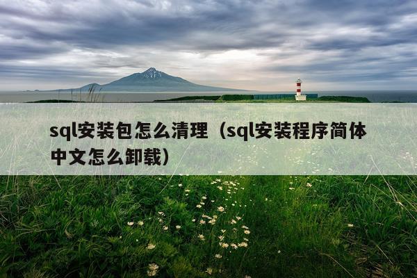 sql安装包怎么清理（sql安装程序简体中文怎么卸载）