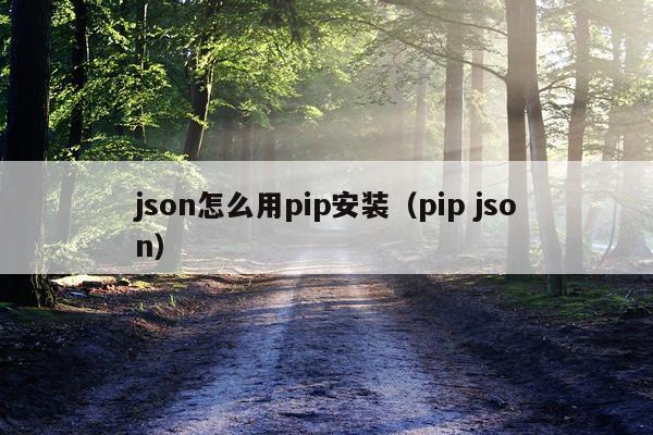 json怎么用pip安装（pip json）
