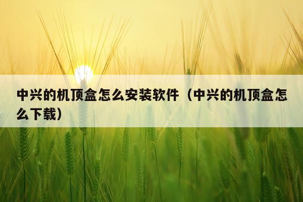 中兴的机顶盒怎么安装软件(中兴的机顶盒怎么下载)