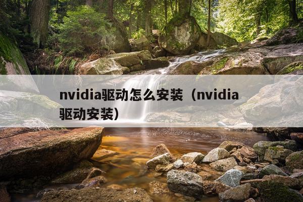 nvidia驱动怎么安装(nvidia 驱动安装)